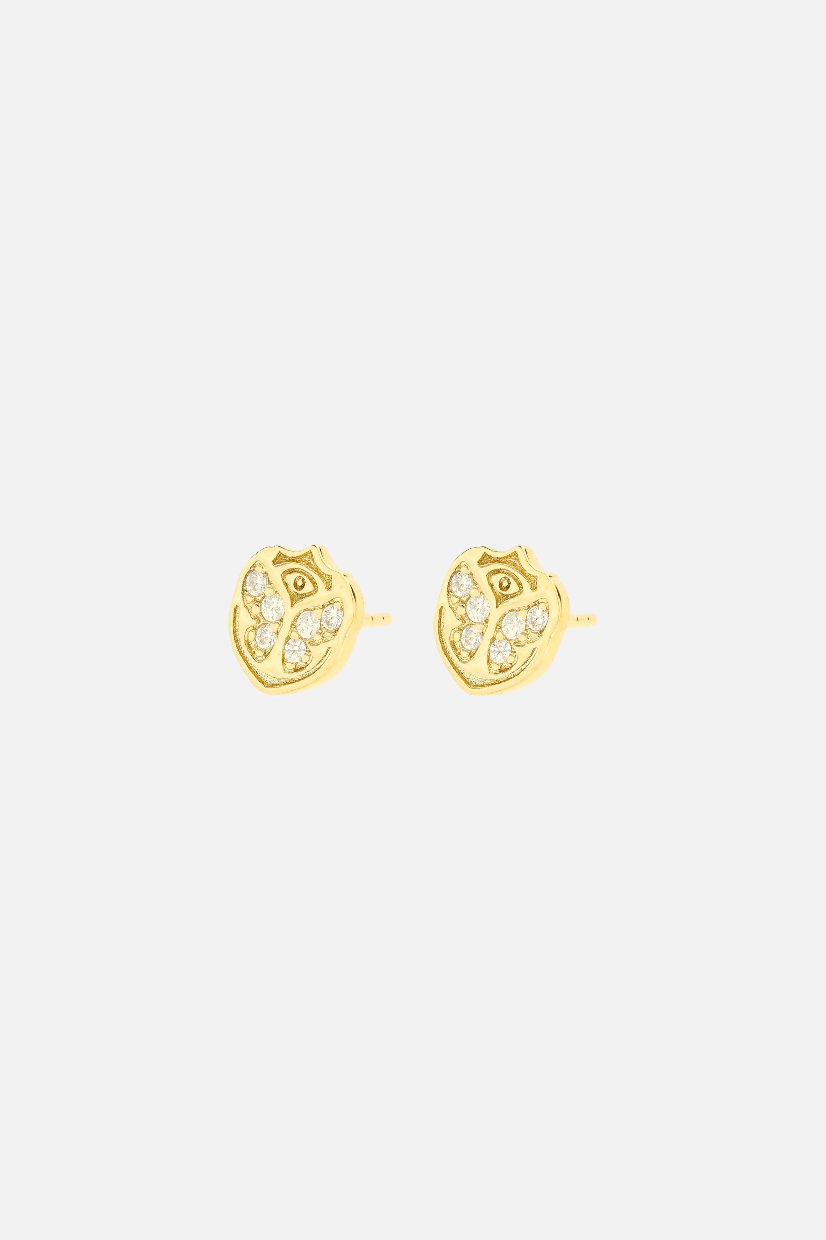 ICON EARRINGS - 1