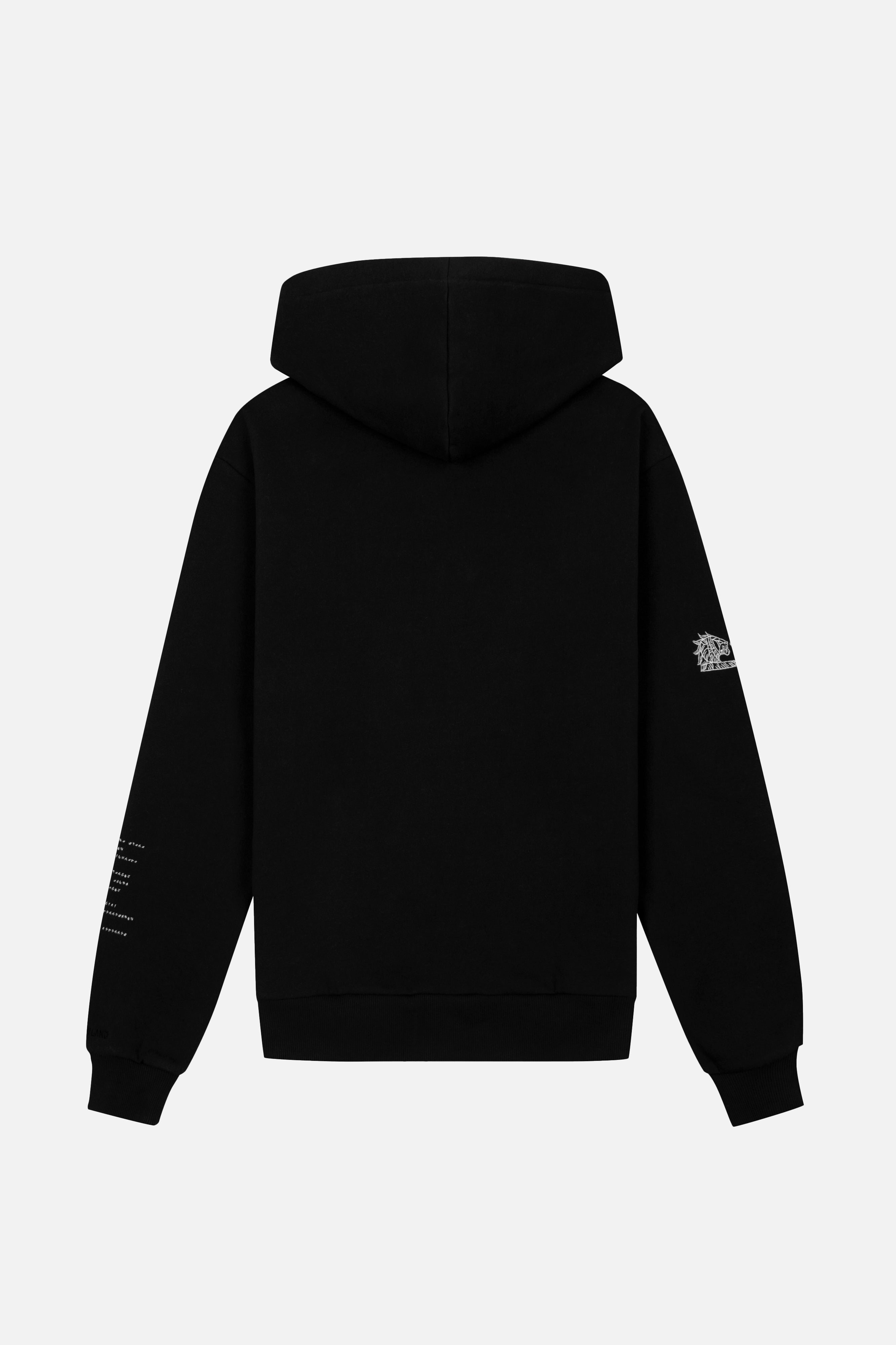 ORBYZ ELEMENTS HOODIE - 9