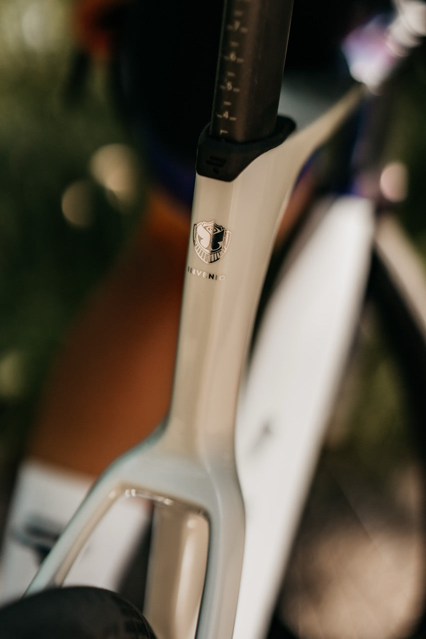 TML x RIDLEY NOAH - 6