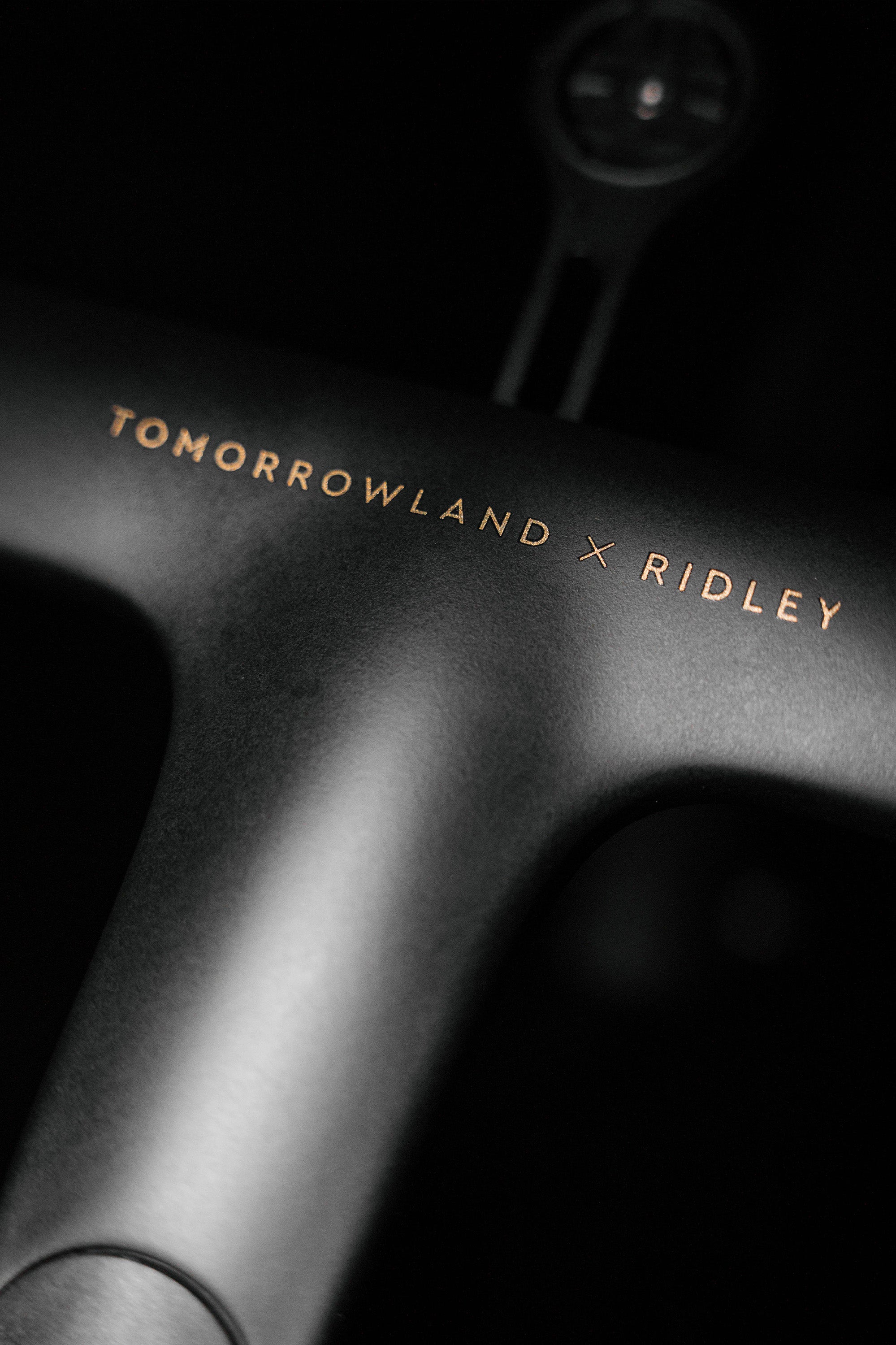 TML x RIDLEY INVENIO GRAVEL CARBON - 2